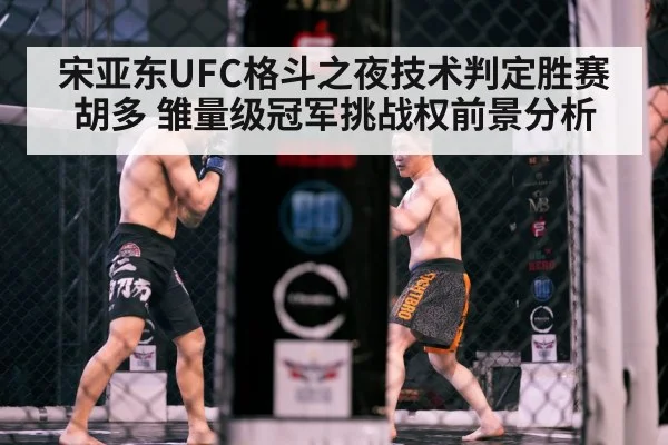 mma octagon cage fight